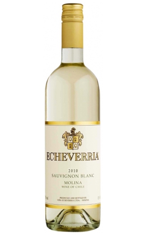 Белое вино Echeverria Sauvignon Blanc