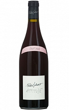Паскаль Жоливе Аттитюд Пино Нуар 2017 2 150 ₽
