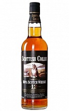 Скоттиш Колли 12 лет  990 ₽