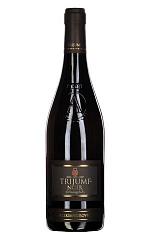 Триумф Нуар 2009 4 970 ₽