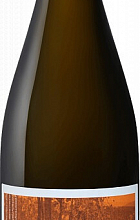 Сатера, "Эссе Анплагд" Ркацители Оранж