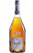 Баш-Габриэльсен 3 Корс VS  4 500 ₽